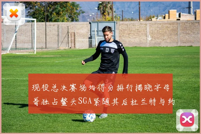 现役总决赛场均得分排行揭晓字母哥独占鳌头SGA紧随其后杜兰特与约基奇争夺第三